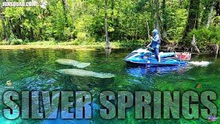 Crazy Adventure to Silver Springs