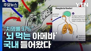 국내 첫 '뇌 먹는 아메바' 감염으로 50대 사망..."치명률 97%" / YTN