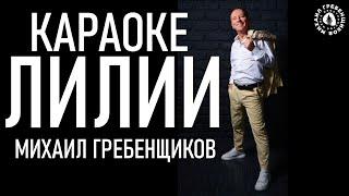 Караоке Лилии Михаил Гребенщиков