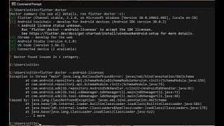 Flutter latest Version 2.2.0 Error After Upgrade | flutter doctor --android-licenses Error | Flutter