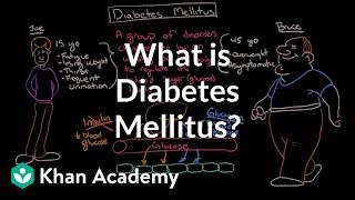 What is diabetes mellitus? | Endocrine system diseases | NCLEX-RN | Khan Academy