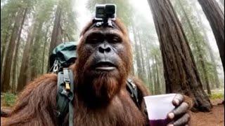 Bigfoot VLOG Compilation Cooking Show, Getting Zooted, Pranking Campers!