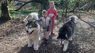 Adorable Kids Walk Their Giant Huskies! (Cutest Ever!!)
