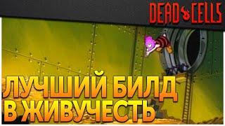 Dead Cells | Билд Олигарх (0-5BC, v. 28FF)