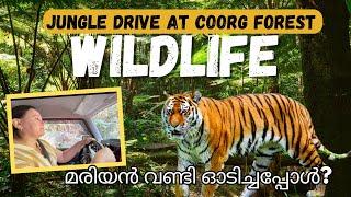 Ep20 കൊടും കാട്ടിലൂടെ ഒരു ഡ്രൈവ് coorg forest drive|Madikeri|Kanhangad | Tala Kaveri | karanataka 