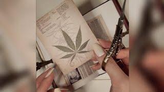 ASMR | 빈티지 다이어리 꾸미기 : Franc Journal | #shorts #hwaufranc