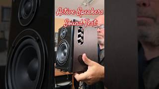 Swan D1010MKII Powered Active Speaker System - Swan Speakers Sound Test @Angelicaaudio