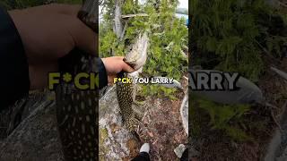 Fishing with a GLIDEBAIT for $50 to win a bet… #fishing #fisherman #funny #fyp #pike #bass