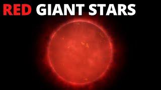 The Red Giant Stars