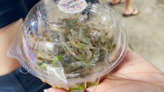 I ate 'Spicy Shrimp Salad' AKA LIVE Dancing Shrimp in Bangkok's Jodd Fairs Night Market