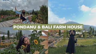 PART 2 - Liburan ke Pondanu dan Bali Farm House Bedugul Bali