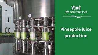 Vinut | Pineapple juice production process