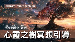 心靈之樹冥想引導 | 與樹合一 平衡與和諧內心