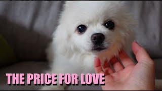 The Price For Love