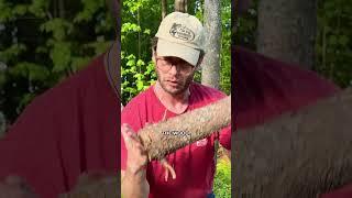 POV chopping wood with your dad #shorts