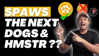 FARMING $PAWS ON TON ECOSYSTEM STEP BY STEP TUTORIAL