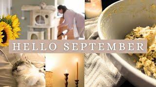 HELLO SEPTEMBER | autumn shop & haul, baking cookies, cosy evening routine as a new mum + cat mum