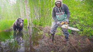 Опасные соседи на лесном озере я не поверил своим глазам