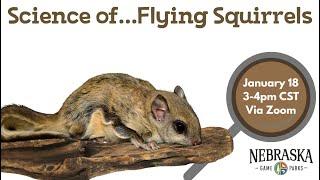 Science of...Flying Squirrels