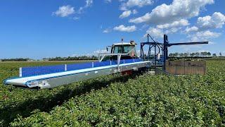 How to harvest flowers | The Integra harvesting machine from Beets Aluminium Products