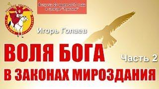 Воля Бога в законах Мироздания. Часть 2. Игорь Голаев. Русское Евангелие