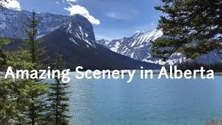 Amazing Scenery in Alberta