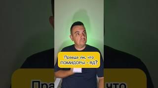 Правда ли, что помидоры- это яд? #помидоры #овощи #вред