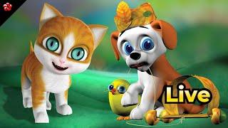 Top Cartoon Videos from Hibiscus Media   LIVE   Moral stories from Banu Bablu  Kathu Manjadi Songs