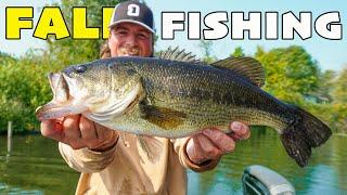 Can You Catch Bass In The Fall? (Fishing The Fall Transition)