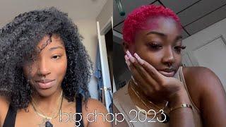 big chop 2023 | new year, new me :)