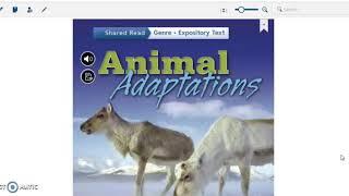 Animal adaptations-grade 4