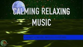 Relaxing Guitar Music, Deep Sleep Music, Relaxing Music, Studying Music, Stress Relief Music  ⭐️ 39