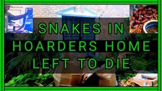 Snakes in Hoarders Home Left to Die