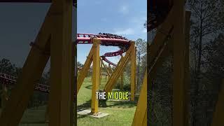  Don't make this mistake at theme parks! 