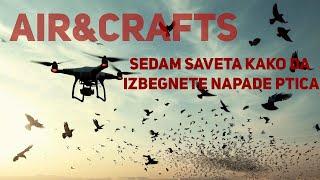 Air&Crafts - Sedam saveta kako da izbegnete napade ptica