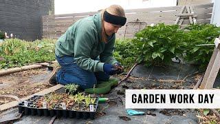 Planting & Working in my Cut Flower Garden - Sunshine and Flora Urban Flower Farm