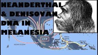 Denisovan and Neanderthal DNA Helped Melanesians Survive and Thrive