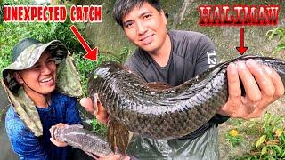 Unexpected Catch Nakakatakot Na Mga Halimaw Na Isda Nagsilabasan Sa Masukal