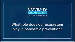 What role does our ecosystem play in pandemic prevention?