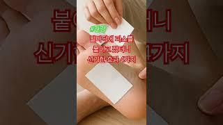 지금당장 붙혀볼까요? #발바닥파스 #건강 #건강정보