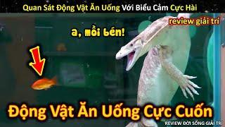 Quan Sát Những Loài Động Vật Ăn Uống Bon Miệng Cực Thú Vị || Review Giải Trí Đời Sống