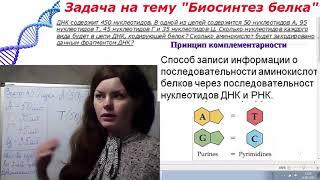 Подготовка к ЕГЭ по биологии. Задача на тему : "Биосинтез белка" №2