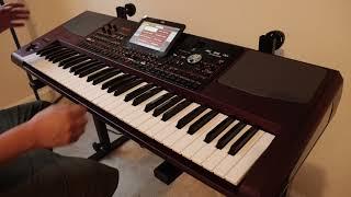 SONIDO DE FABRICA KORG PA 1000