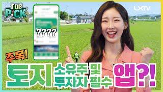 토지 소유주, 투자자, 경매 알아본다면 이 앱은 꼭 까세요! [LX Top pick]