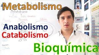 Metabolismo y Rutas metabólicas (Anabolismo y Catabolismo) EN 11 MINUTOS!