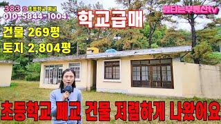 383호 학교급매 초등학교 매물 저렴하게 나왔여요 안동호 호수옆 2차선 도로옆 건물 269평 토지 2,804평