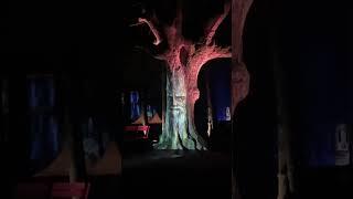 Funny speaking tree at nightlight