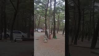 양양 오토캠핑장