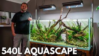 Aquascaping seit 18 Jahren: Alex Nature Aquarien (540L & 240L)