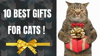 The Purrfect Presents: 10 Best Gifts for Cats - Cat's Knowhow